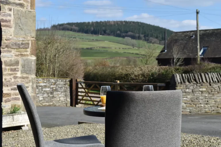 8ccac8c2 85b0 4787 beb1 02d253a75db7 1 768x512