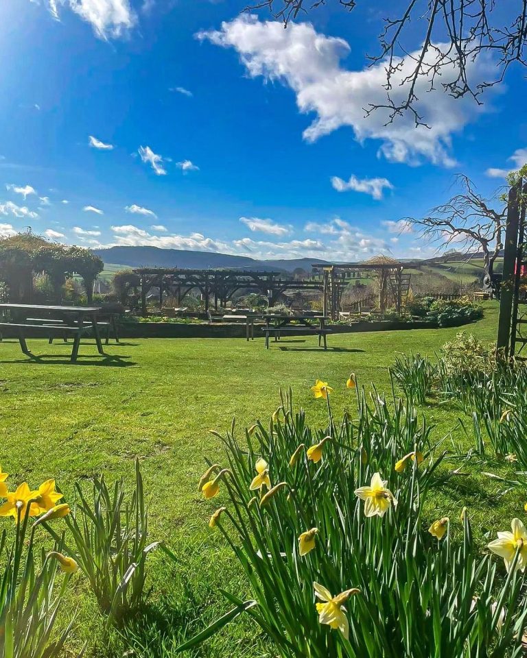 Spring Garden 768x960