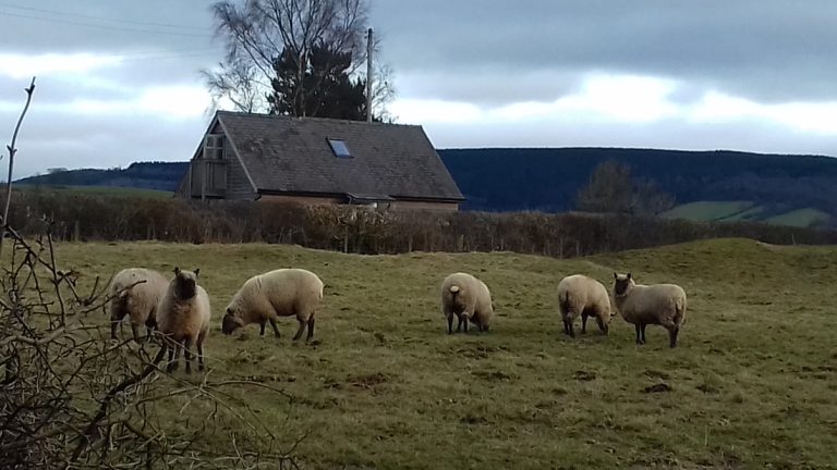 20170219 164939 orig 768x432