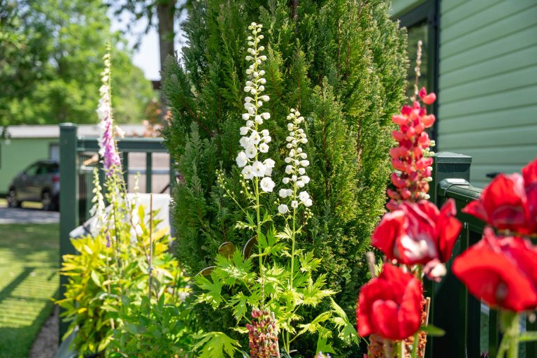 Well Maintained Planted Grounds Well Maintained Planted Grounds