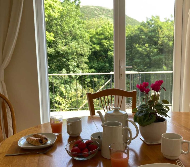 Dining kitchen with large table
