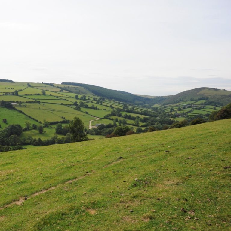 View from Bryncalled Barns