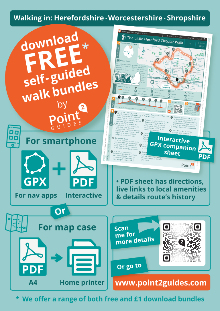 Point2 A4 Promo2 768x1086