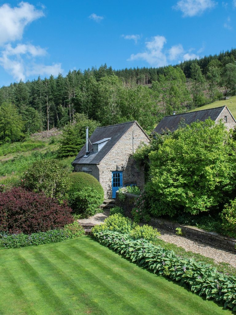 bothybrians 768x1025