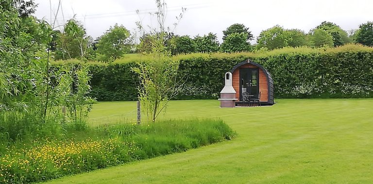 IMG 20240523 191454 768x380