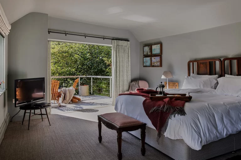 dinham weir 4 768x512