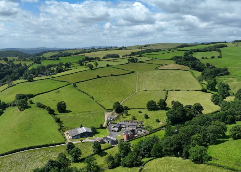 Hicks Farm from the sky!