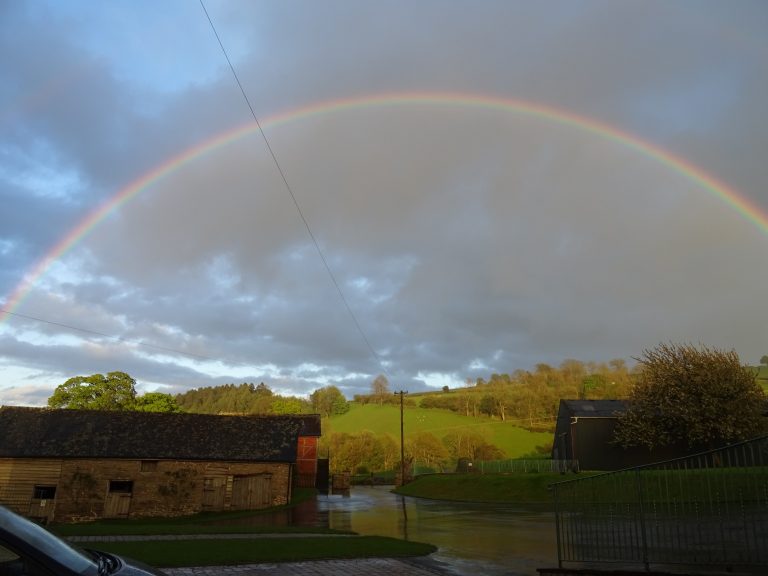 Everyone loves a rainbow