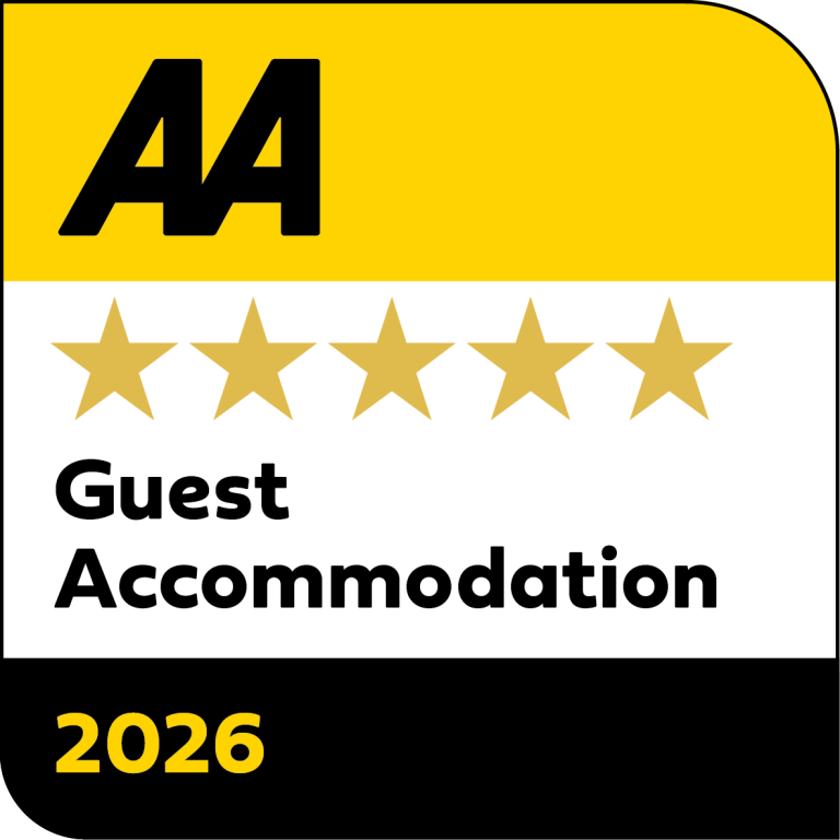 AA 5 Gold Stars